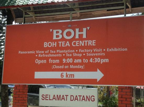 boh-tea-plantation-signboard