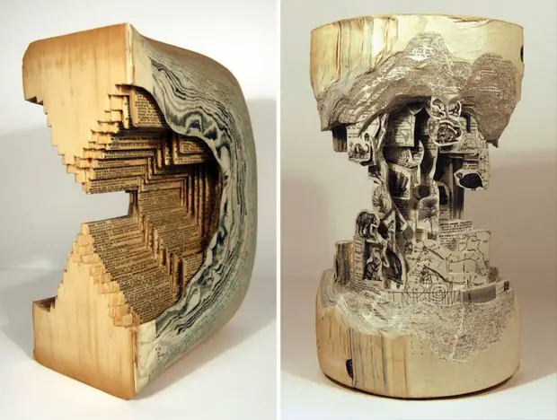 The_Book_Surgeon_Incredible_Book_Sculptures_by_Brian_Dettmer_2014_05