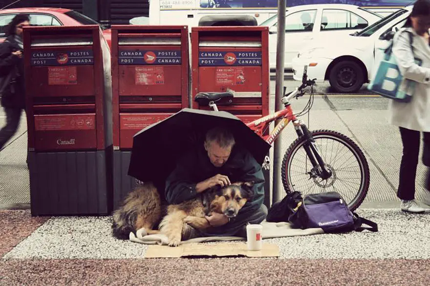 homeless-dogs-and-owners-27