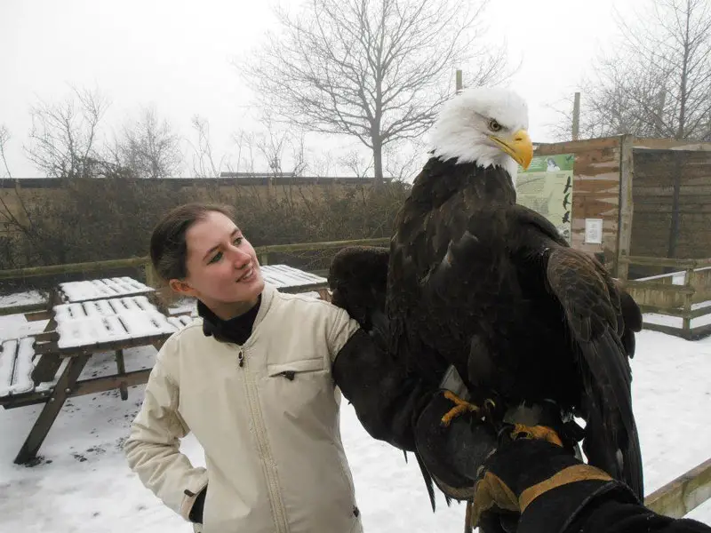 handler-shares-her-amazing-images-with-birds-of-prey-2