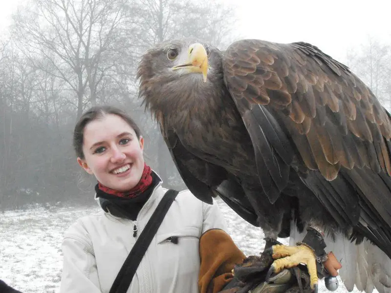 handler-shares-her-amazing-images-with-birds-of-prey-6