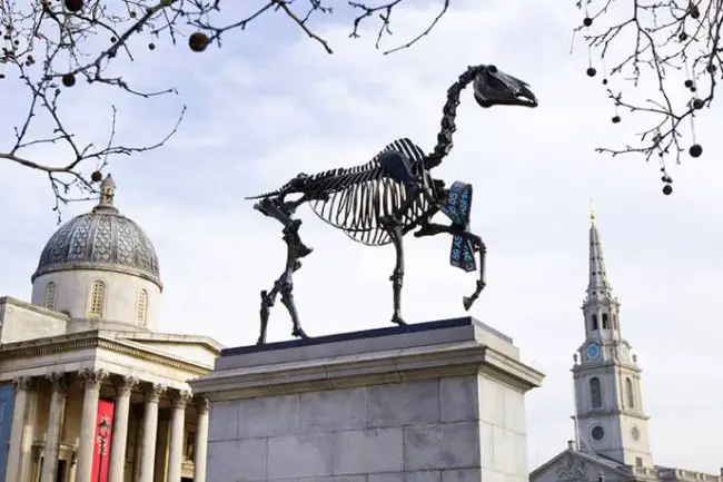 2-gift-horse-by-hans-haacke-on-the-fourth-plinth-london-650x433