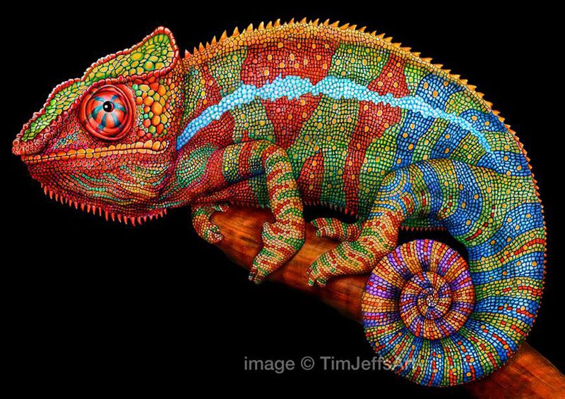 incredibly-detailed-pencil-crayon-drawings-of-iguana-and-chameleon-by-tim-jeffs-6