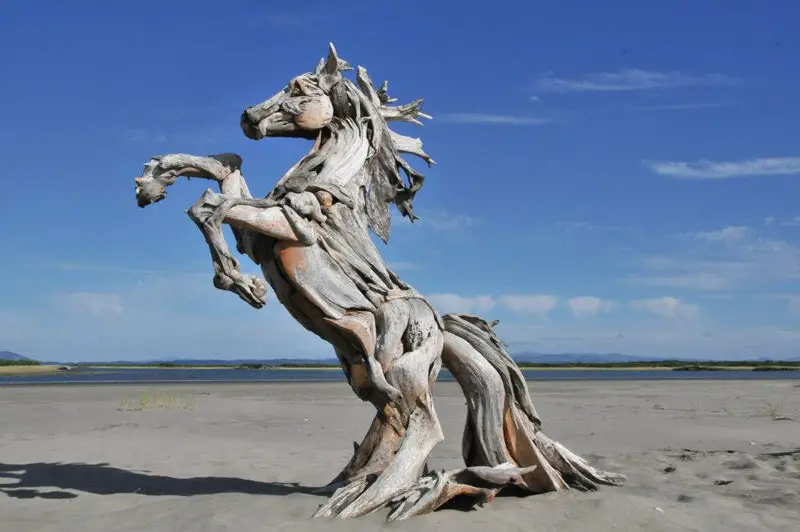 driftwood-sculptures-by-jeffro-uitto-knock-on-wood-4