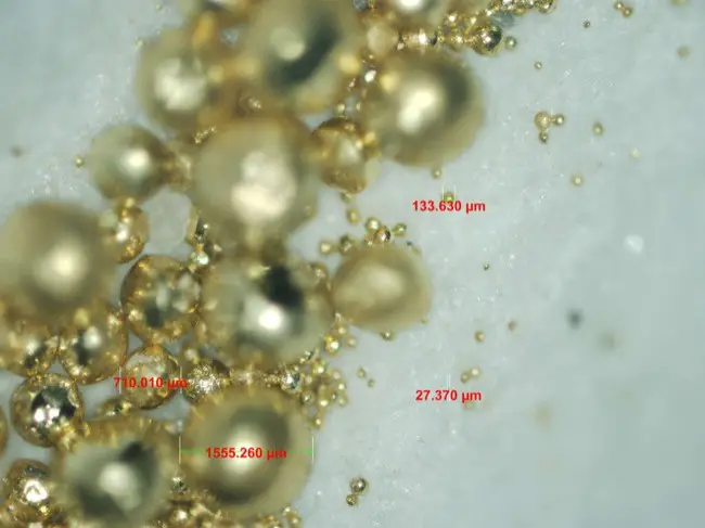 Gold-bacterial-poop-1-650x487
