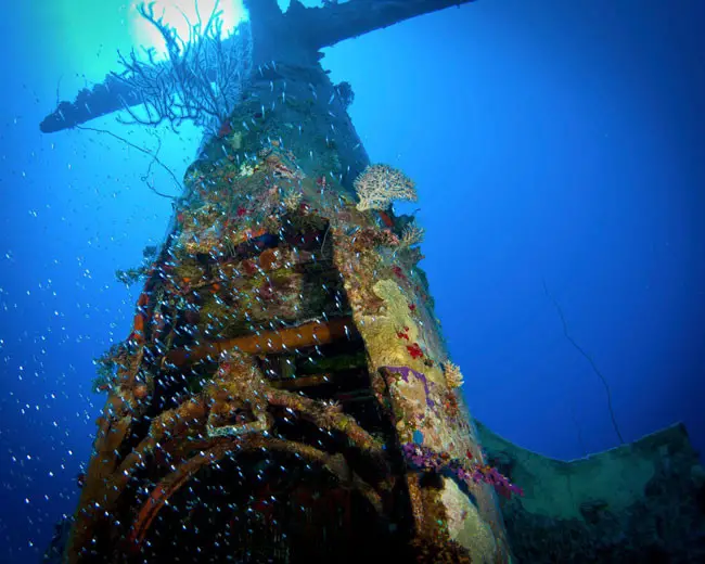 Here’s-what-World-War-II-planes-now-look-like-in-their-underwater-graves-650x520