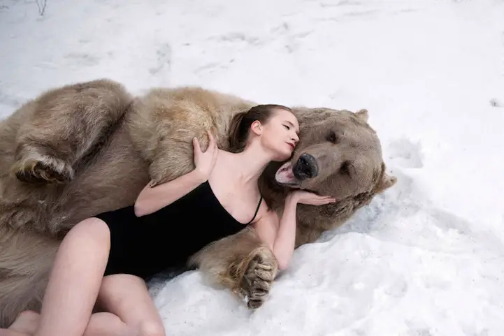 PIC BY OLGA BARANTSEVA/ CATERS NEWS - (PICTURED: Lidia Fetisova modelling with Stephen the bear) - Two scantily clad models pose with a giant brown bear - in a bizarre bid to raise awareness about the ferocious predators softer side. The strange scenes were pictured in a forest outside of Moscow, Russia, and have gone viral in the country. The series of photos show two models - Maria Sidorova and Lidia Fetisova - hugging, cuddling and kissing the 650kg bear, named Stephen. Photographer Olga Barantseva, who captured the dream-like series of snaps, said: We wanted to show the natural harmony between humans and bears. SEE CATERS COPY.