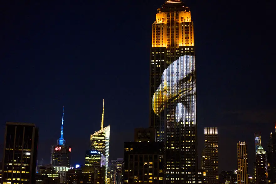 empire-state-projection-endangered-animals-nyc-28