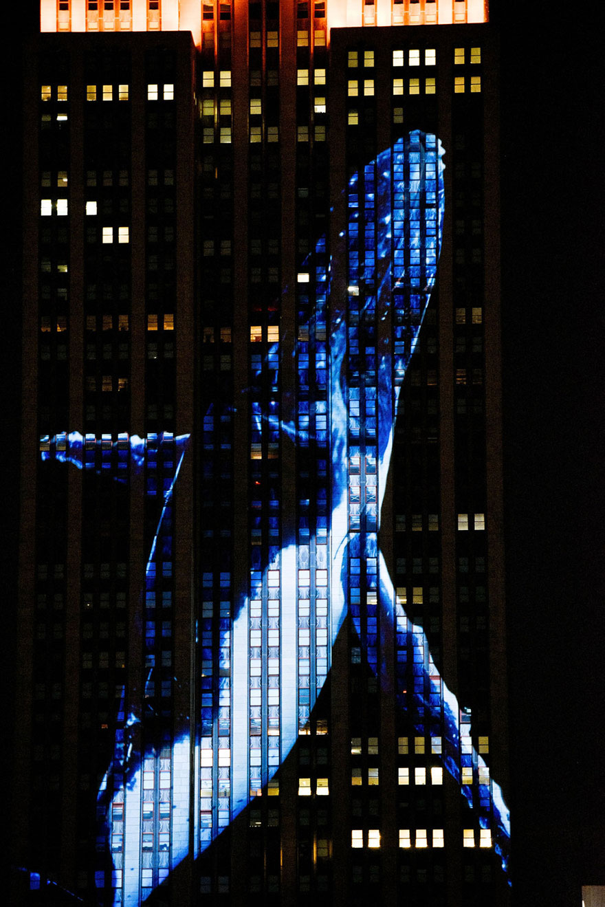 empire-state-projection-endangered-animals-nyc-34