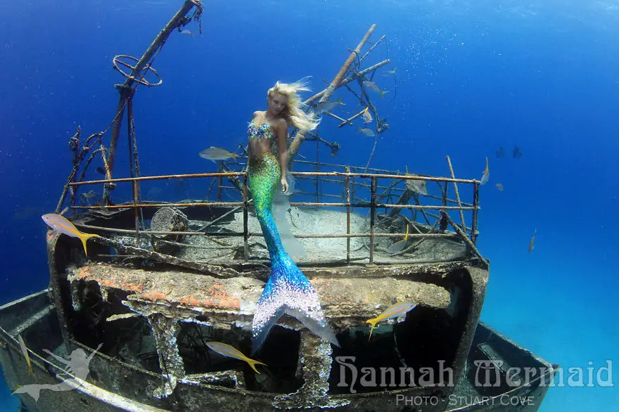 Ocean-Advocates-Breathtaking-Mermaid-Photography12__880