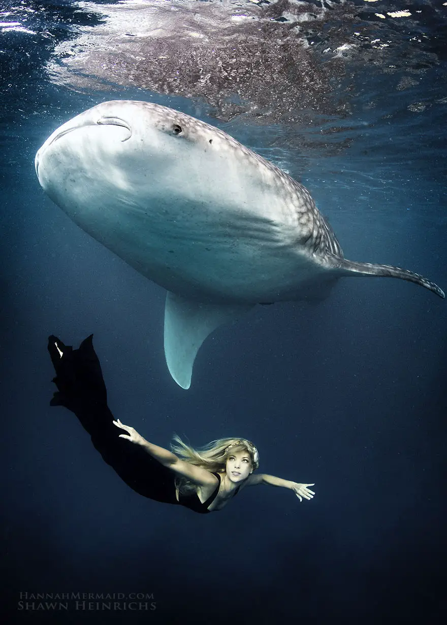 Ocean-Advocates-Breathtaking-Mermaid-Photography__880