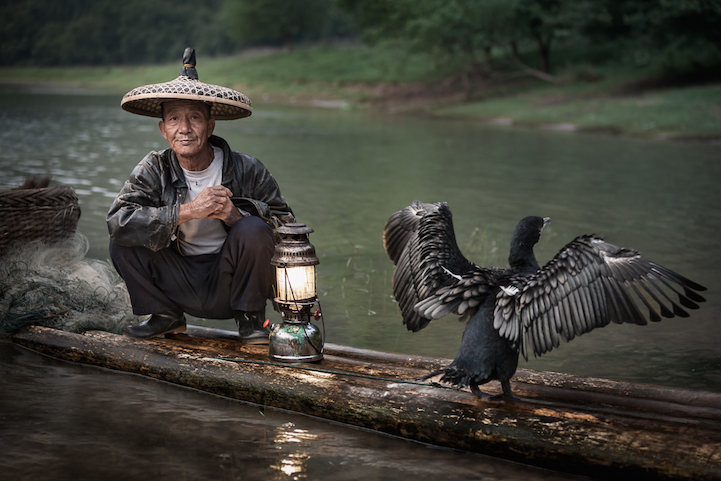 Chinese fisherman next to his cormorant bird