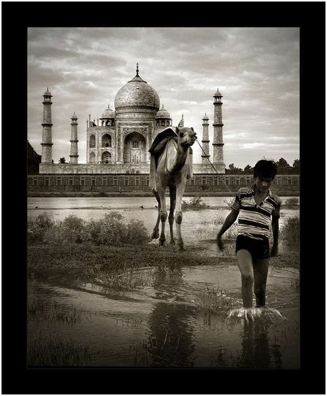 Taj-Mahal-Exposed-by-Thamer-Al-Tassan-3