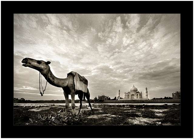 Taj-Mahal-Exposed-by-Thamer-Al-Tassan-6