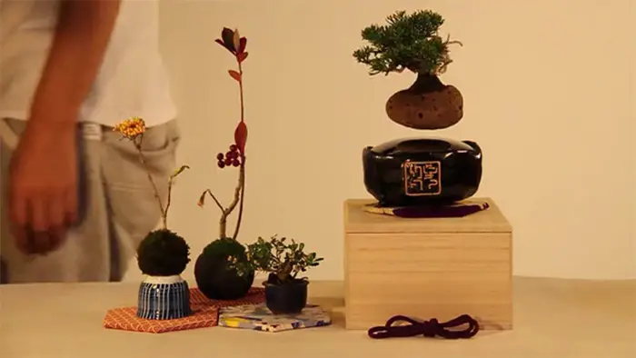 floating-bonsai-trees-air-hoshinchu-66