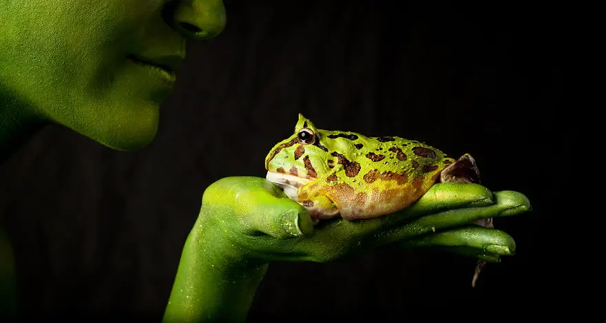metamorphosis-my-visual-exploration-of-our-connection-with-amphibians-3__880