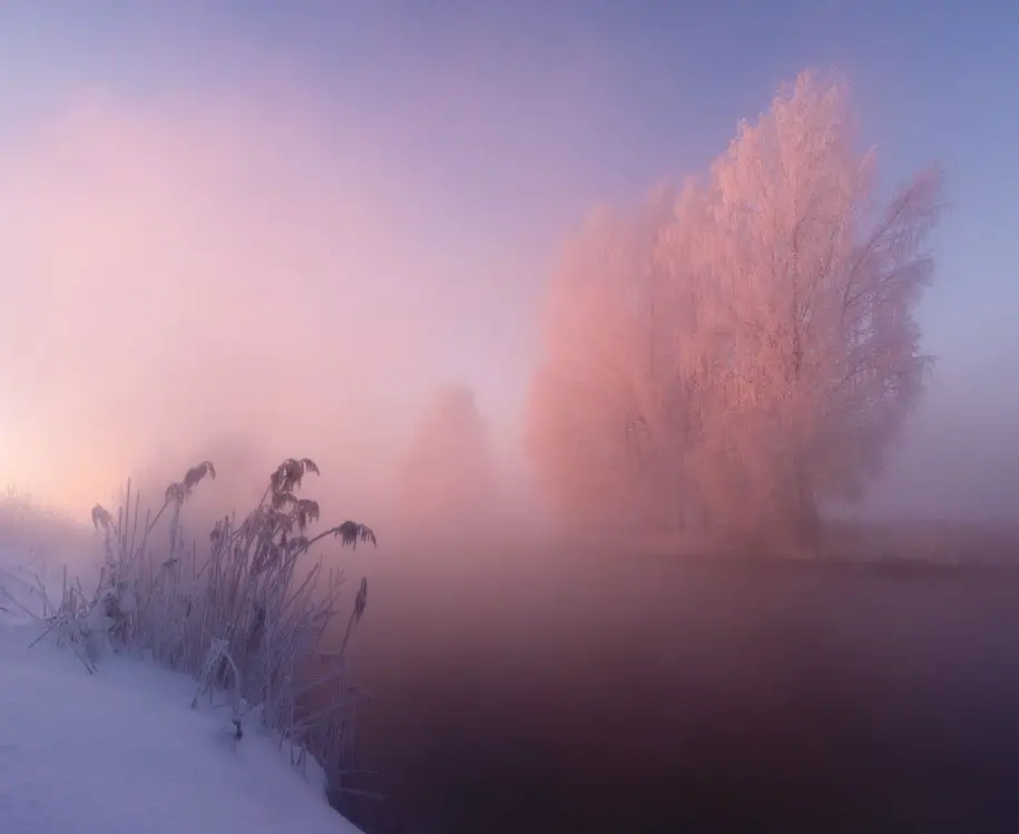 rosy-magenta-dawn-morning-photography-alex-ugalnikov-11