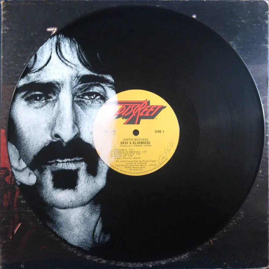 Daniel-Edlen-Musician-Vinyl-Portraits-Frank-Zappa